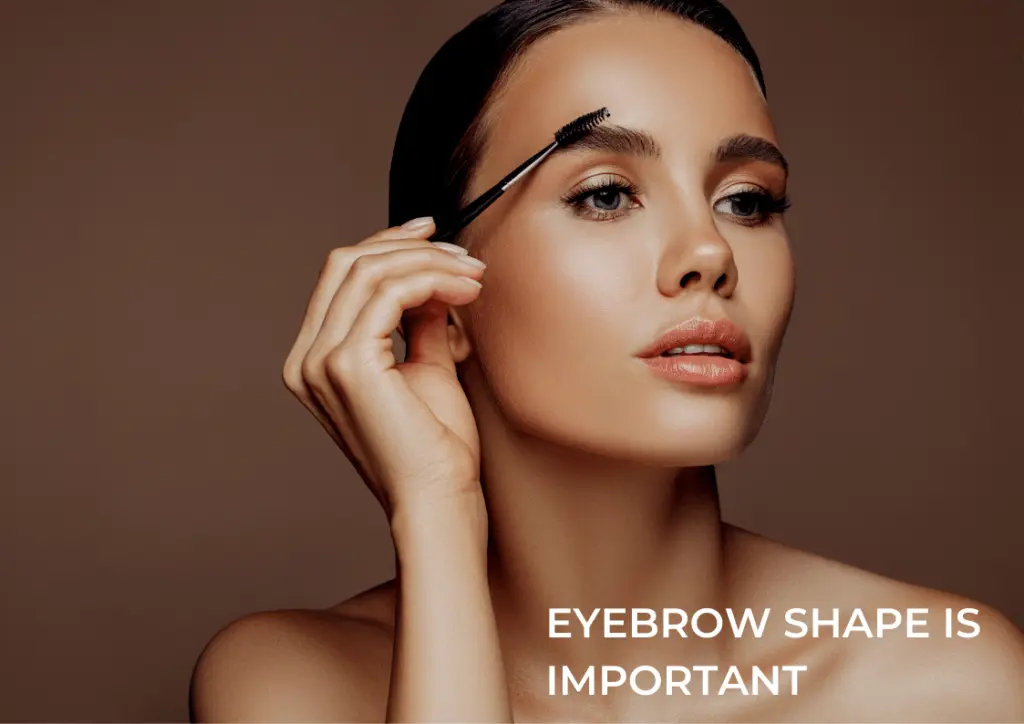Eyebrow Shape is Important