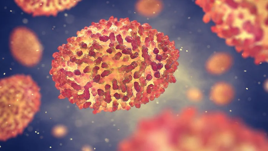 The Best-Known Effects of Monkeypox In Children